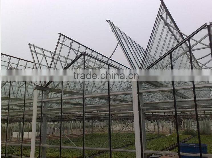 Customer design glass multi-Span agricultural greenhouse