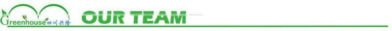 High Quality Galvanized Tubes Metal Structure for Greenhouse