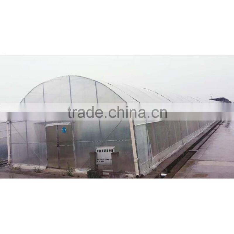 Film Cover Material and Multi-Span Agricultural Commercial Greenhouses