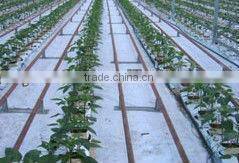 anti UV nonwoven fabric