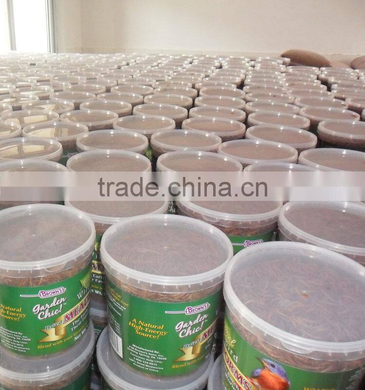 Professional hikari fish food animal feed mealworm