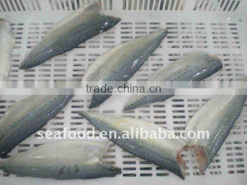 quality frozen mackerel