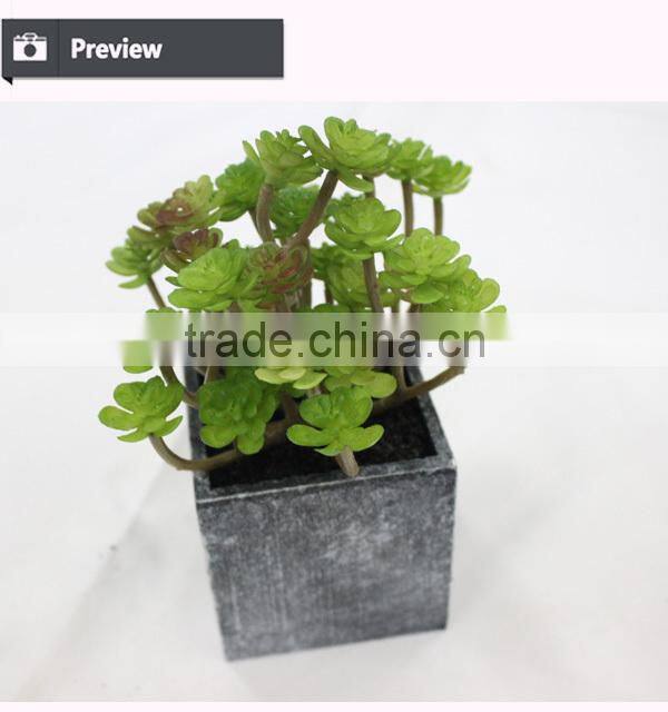 Artificial tropical plants in pot mini green plant artificial succulent for garden arrangement