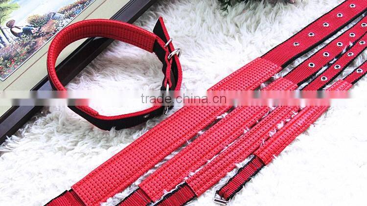 2016 china cheap wholesale comfortable dog collar with cheap price