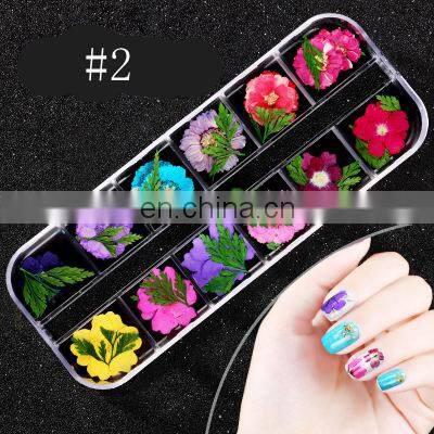 Factory wholesale dry flower nail art for dried flowers sale