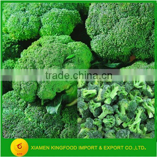 Supply Frozen Broccoli Flower in Stock