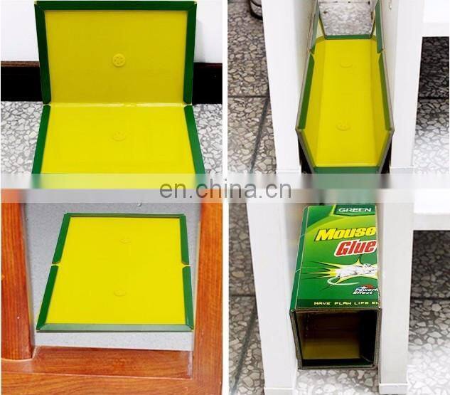 free samples rat mouse glue trap mouse trap glue board
