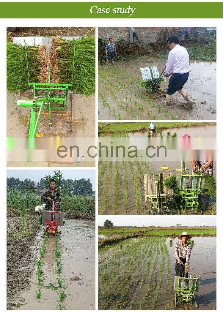 Hand Cranked Paddy Planter 2 Row Philippines Seed Manual Philippine Rice Transplanter For Sale With Price