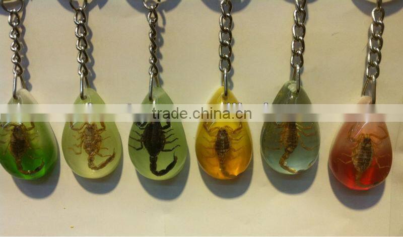 Seashell Accessories,Pecten Shell Keychain,islands Summer fashion beach accessories