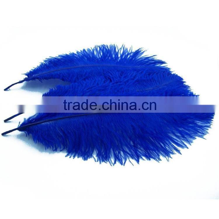 Carnivel Costumes decorations cobalt 15-75cm ostrich feathers