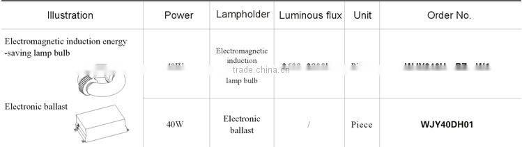Industry Weather Proof Electromagentic Induction Energy-Saving Lamp Floodlight light fittings