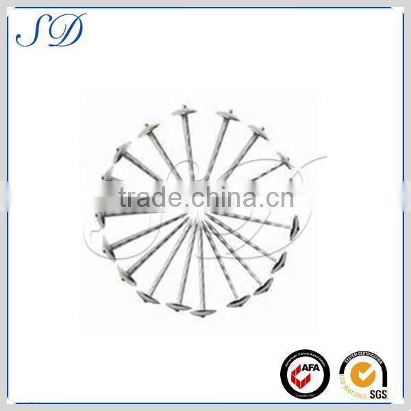 Top quality durable use proper price very long nails