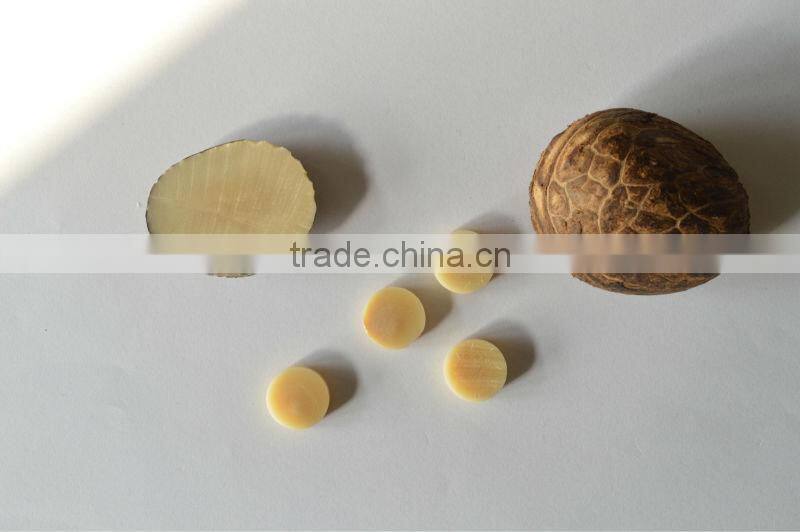 Corozo Button with Laser