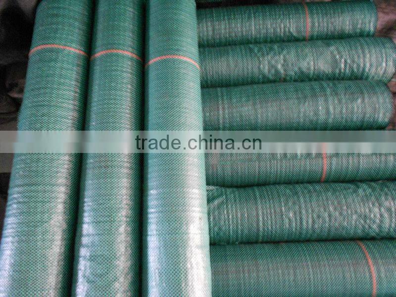 2013 new green ground cover for sale HOT!