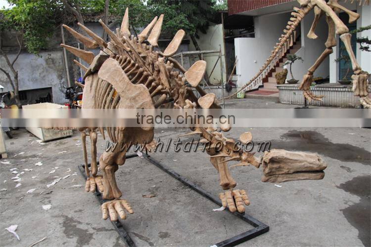 Dinosaur skeleton from Zigong HLT dinosaur skeleton manufacture