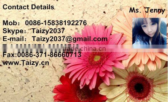 Fresh vegetable washing machines/green leaves vegetable washing machine for sale