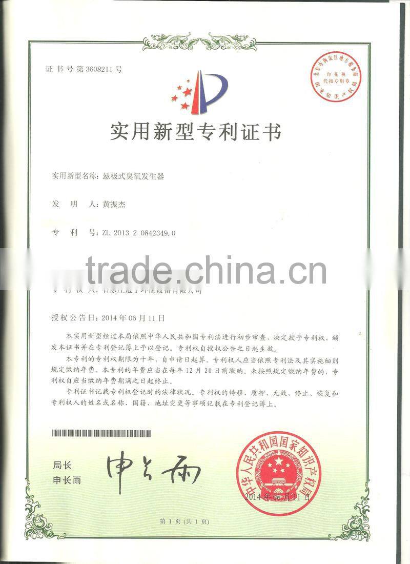 10G 20G 30G ozone generator for swimming pool water treatment self cleaning filter