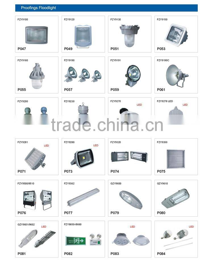 Ex-proof certificate LED Floodlight 100W