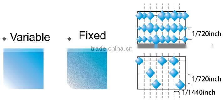 DX5 Head 1.8m Eco Solvent Inkjet Printer with Double Printheads