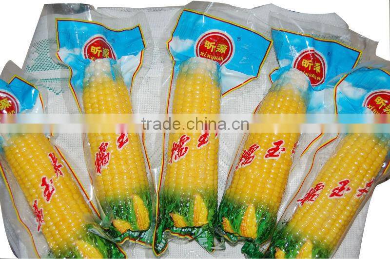 LTZKB-260 Small Vacuum Packing Machine