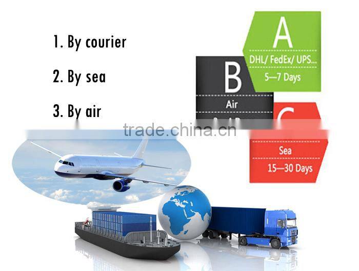 Full digital portable ultrasound scanner