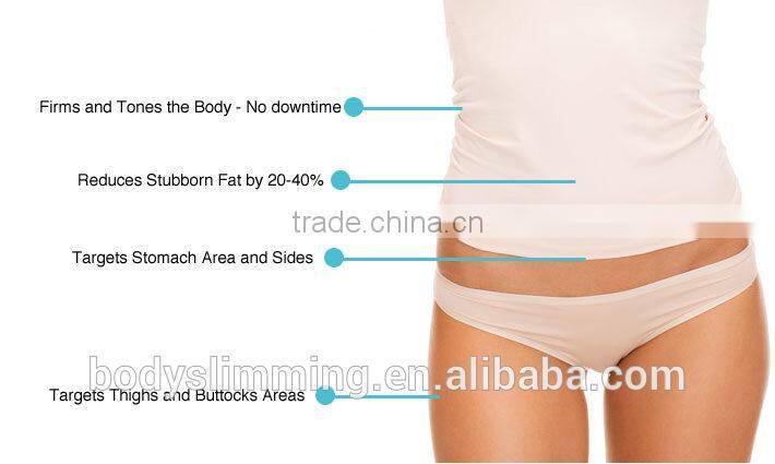 Portable Cryo Fat Freezing Slimming Portable Cryolipolysis 2