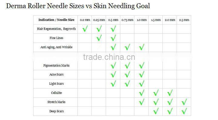 A big sales activity for Closing Christmas /Stainless steel derma roller with 540 pin derma roller