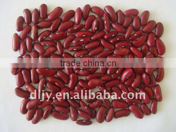 Dark Red Kidney Beans