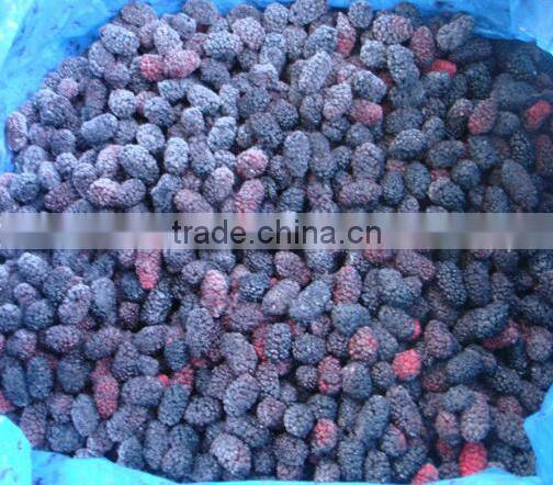 2016 Hot sale IQF mulberry