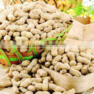 Arachis Hypogaea Extract Luteolin 98%