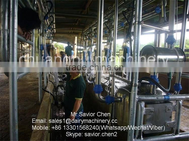 Dairy Farm Automatic Milking System , Milking Parlor For Cow