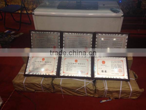 Newly design Charcoal briquette,Biomass briquette machine,Briquette machine price