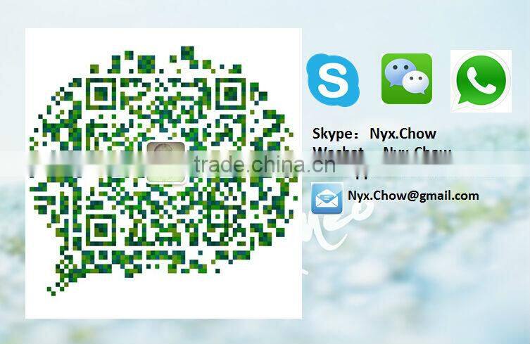 High Quality Electro Galvanized Window Screen (Guangzhou Manufacturer)