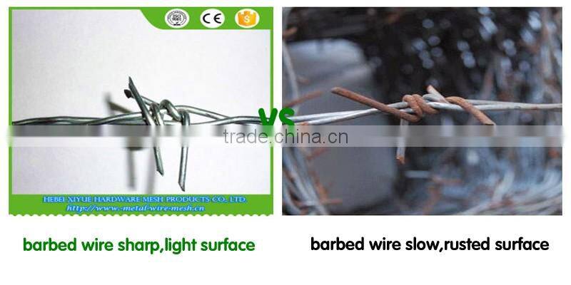 hot Galvanized double twisted 14#x14# barbed wire fob price per roll