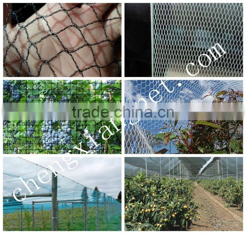 agriculture anti bird net / bird control netting