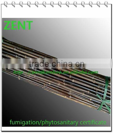 ZENT-75 eco-friendly natural black bamboo fence panels high quality bamboo fence