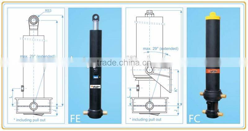 hydraulic cylinder seals