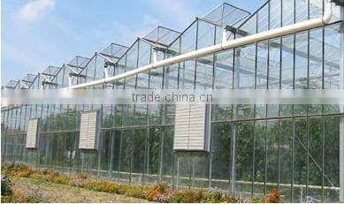 Large Multi-span commercial greenhouse ,agricultural greenhouse ,vegetables greenhouse