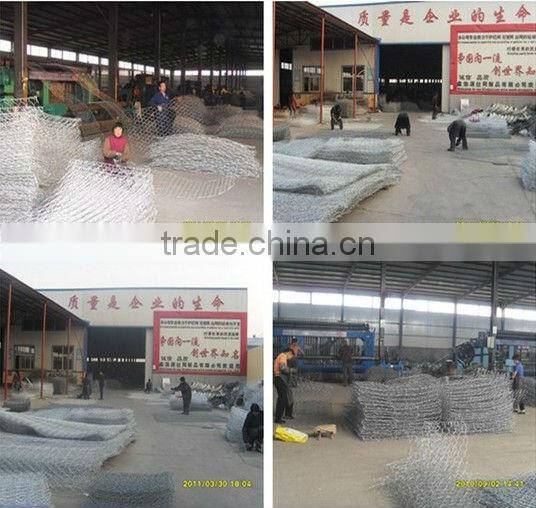 Aviary Netting/Poultry Netting/Hexagonal Mesh