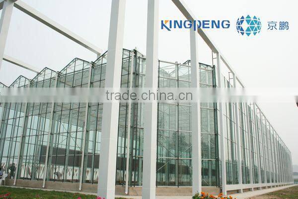 Vegetable growing Greenhouse (ISO9001:2000)