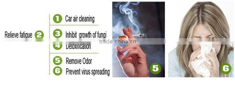 Promotion gift PM 2.5 removing 12V DC plug in car air purfier