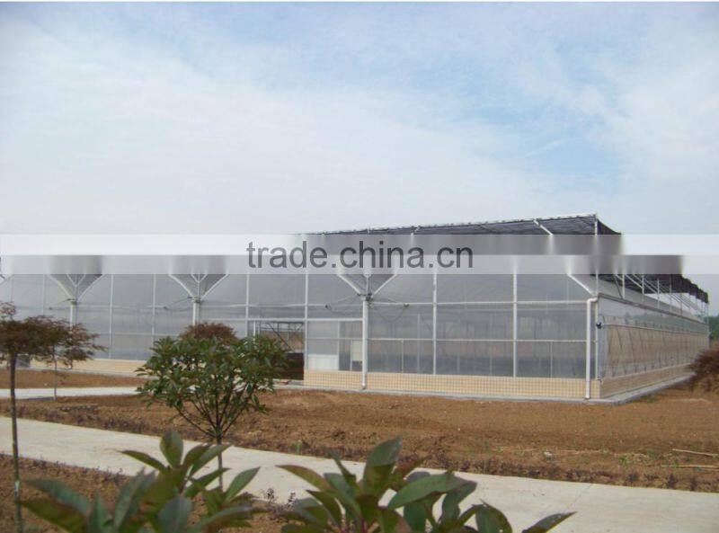 agricultural greenhouse with film for growing