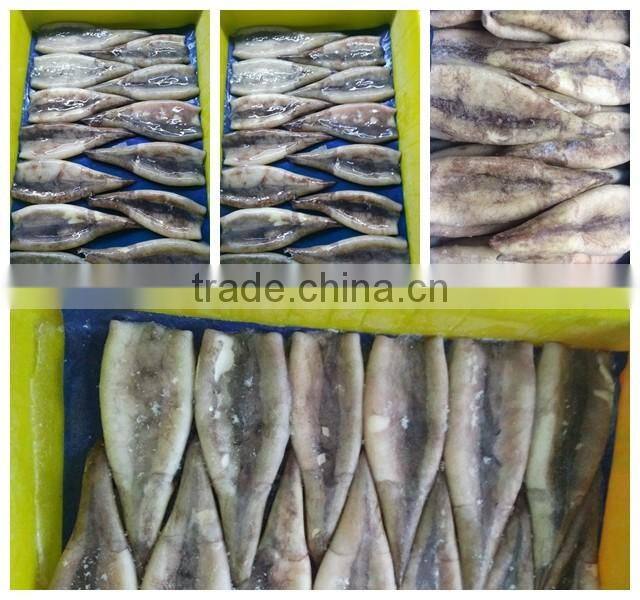 Frozen Tweed Bait squid Heads