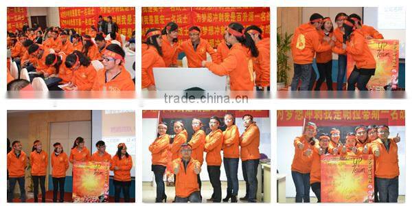 Spare Chainsaw 52CC 58CC 62CC Petrol Chainsaw with CE