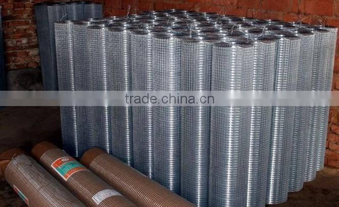 China supplier welded wire mesh