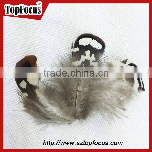 hot sale dyed Wholesale Natural cheap artificial pheasant feathers prices