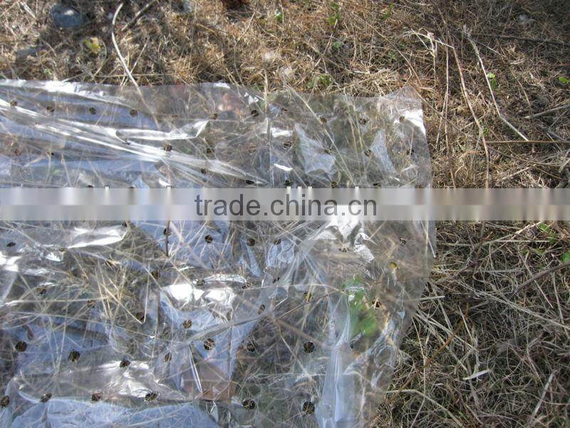 PE Agricultural mulch film with micros holes