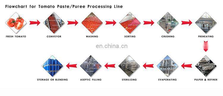 Small tomato ketchup making production processing line machine