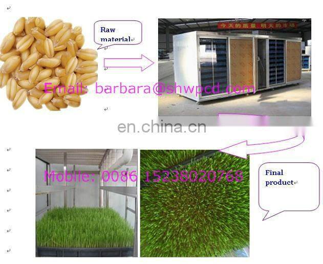 Hot Sale Fodder Sprouting Machines Hydroponic Fodder System Hydroponic Seeds Sprouting Equipment For Feed Processing Machines
