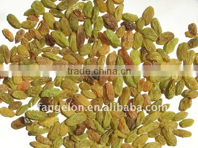 Raisin Color Sorting